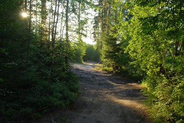 Similar image 21225586