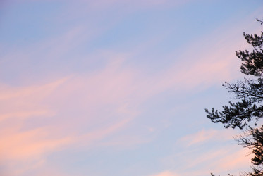 Similar image 21225587