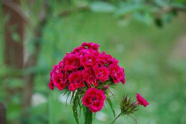 Similar image 21225588