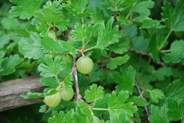 Similar image 21225590