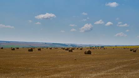 Similar image 21254450