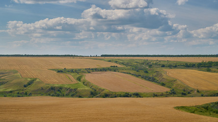 Similar image 21254454