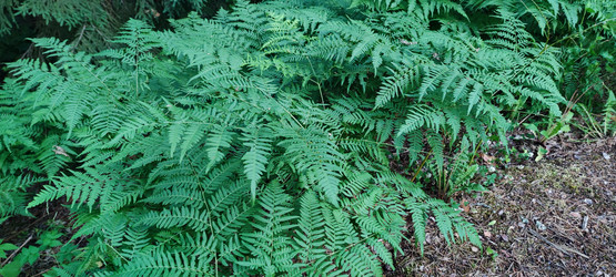 Similar image 21225599