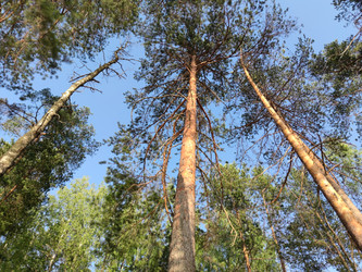 Similar image 21225601