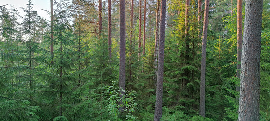 Similar image 21226674