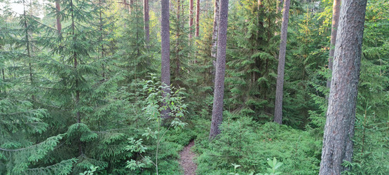 Similar image 21226678