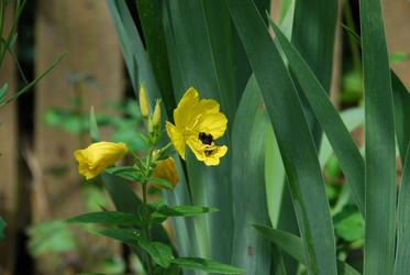 Similar image 21226680