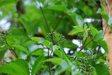 Similar image 21226682