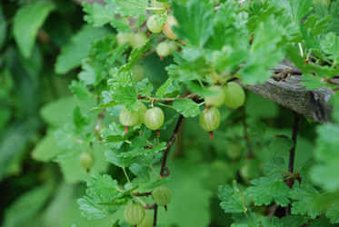 Similar image 21226686