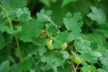 Similar image 21226688