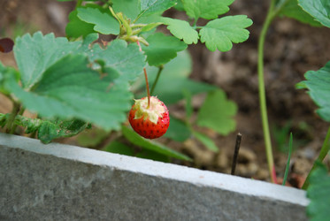 Similar image 21226689