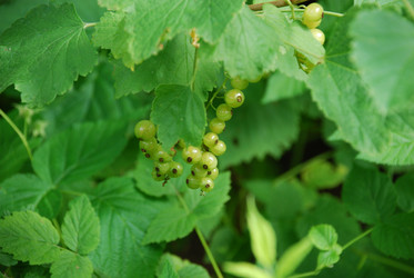 Similar image 21226690