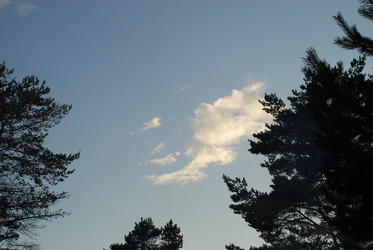 Similar image 21227769