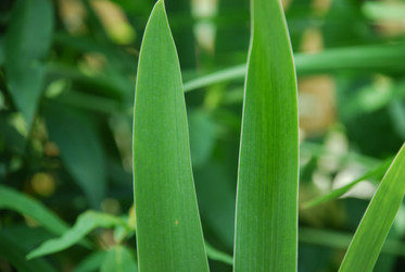 Similar image 21227770