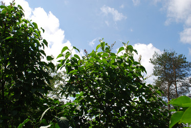 Similar image 21227776