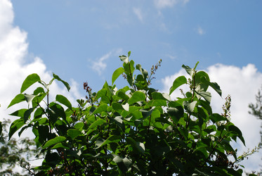 Similar image 21227778