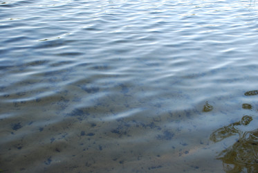 Similar image 21227779