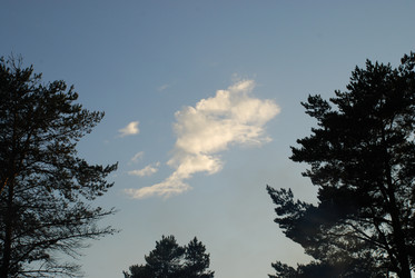 Similar image 21227784