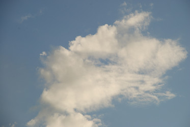 Similar image 21227785