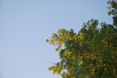 Similar image 21227787