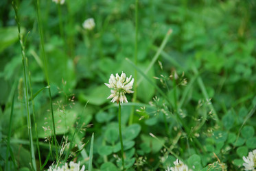 Similar image 21227789