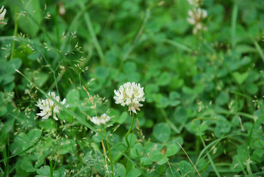 Similar image 21227791