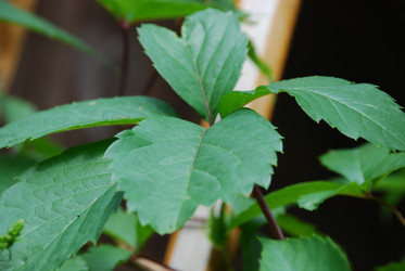 Similar image 21227792