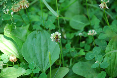 Similar image 21227793