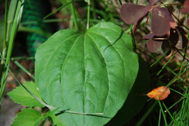 Similar image 21224941