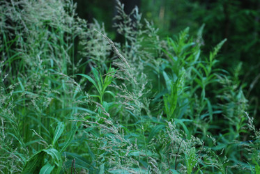 Similar image 21224943