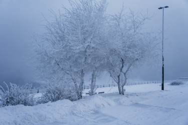 Similar image 21227797