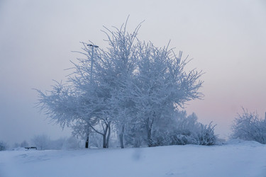 Similar image 21227803