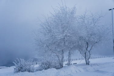 Similar image 21227806