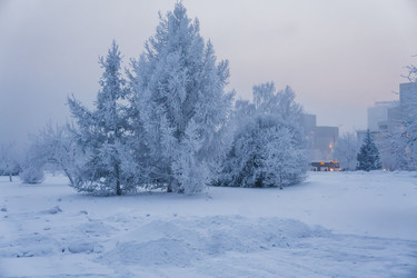 Similar image 21227812