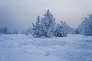 Similar image 21227813