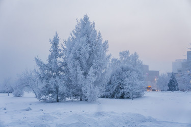 Similar image 21227815