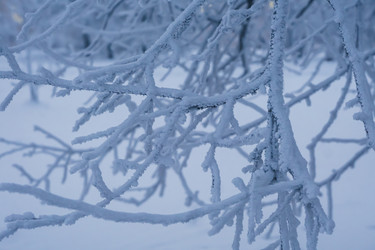 Similar image 21227817