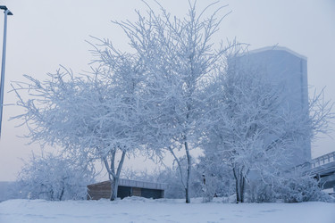 Similar image 21227818