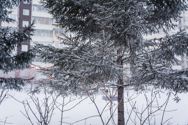 Similar image 21227826