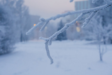 Similar image 21227829