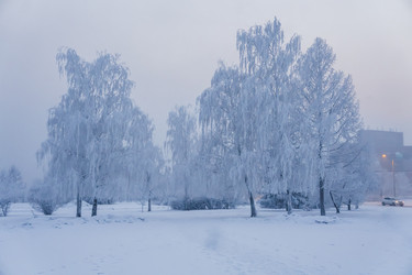 Similar image 21227830