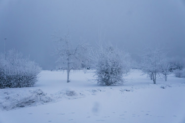 Similar image 21227832