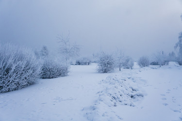 Similar image 21227835