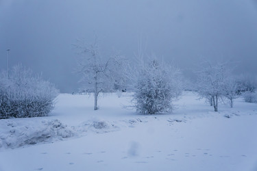 Similar image 21227836