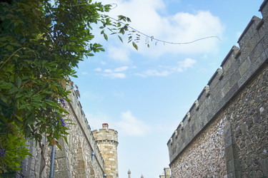 Similar image 21223629