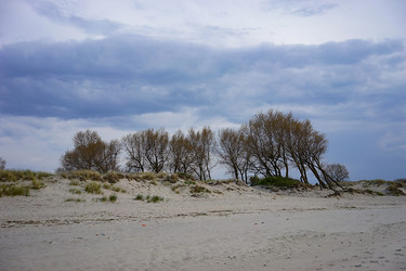 Similar image 21223773