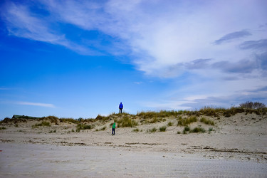 Similar image 21223774