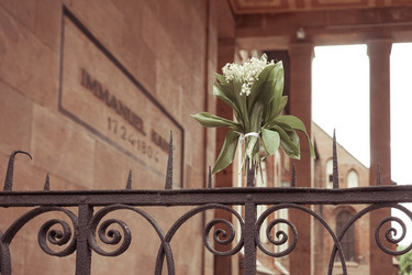 Similar image 21223798