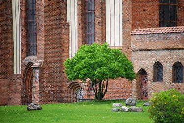 Similar image 21223803