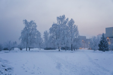 Similar image 21241112